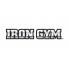 Iron Gym (2)